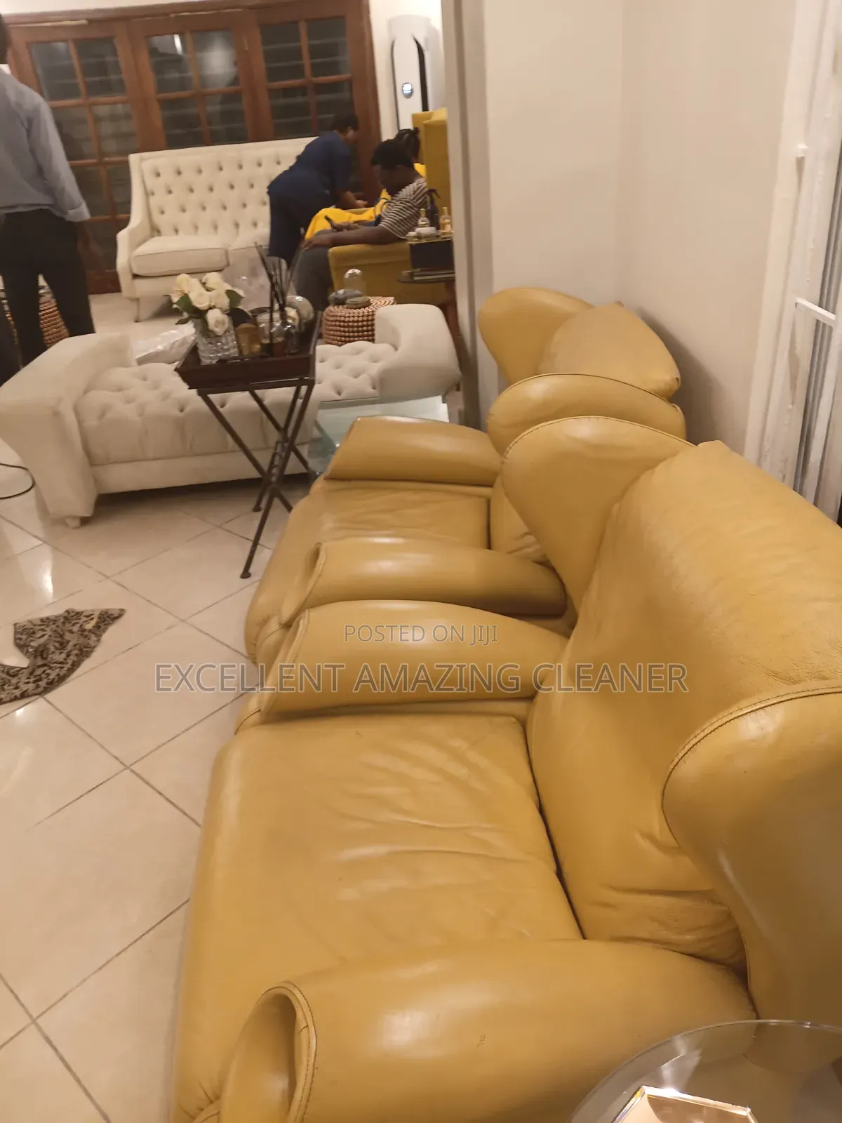 Sofa/Carpet Cleaning