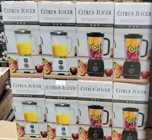 Rechargeable Blender