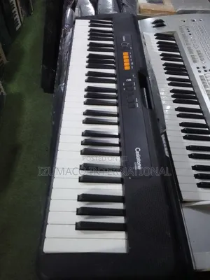 Casio Casiotone CT-S100 Portable Keyboard