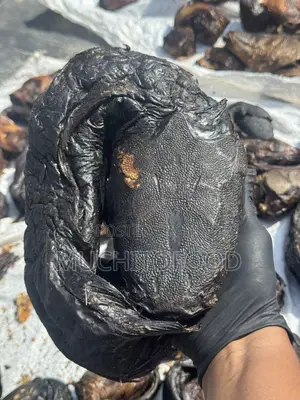 Tasty River Round Catfish