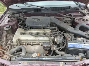 Nissan Primera 1998 Brown