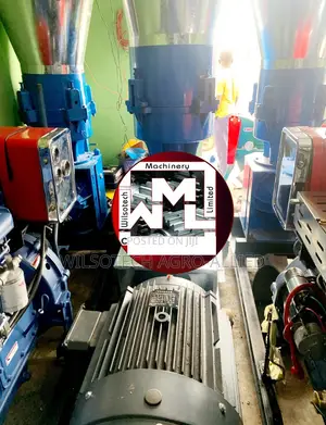 2 Ton/Hr Pelletizer Machine Powered With Electric Motor