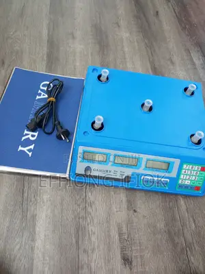 Gammry Electronic Pricing Scale