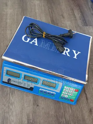 Gammry Electronic Pricing Scale