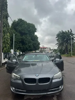 BMW 5 Series 2013 Gray
