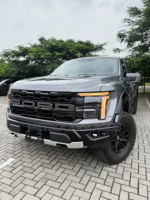 Ford F-150 Raptor 2024 Gray