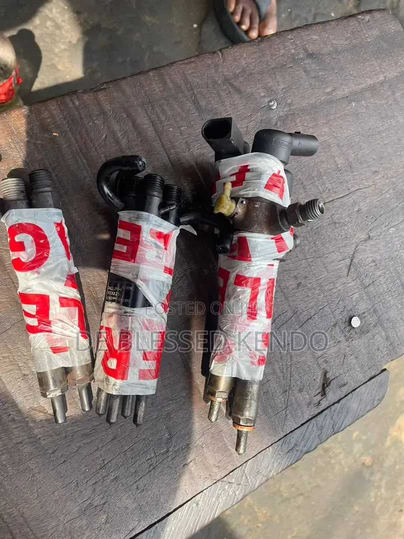 Injector Nozzle Renault Duster Samsung