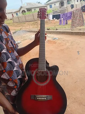 Pro Acoustic Guitar