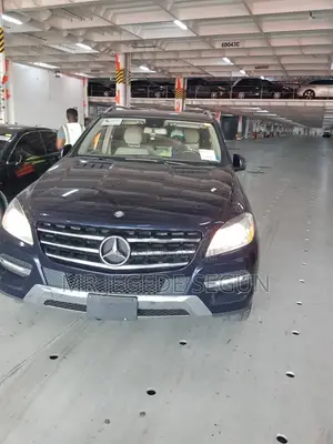 Mercedes-Benz M Class 2014 Blue