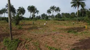 Affordable Land for Sale in Ibadan – Secure Your Plot Today