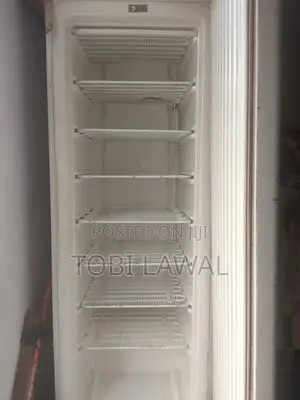 Standing Freezer