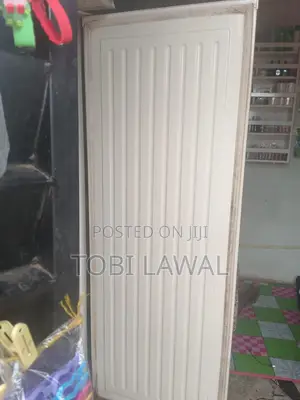 Standing Freezer