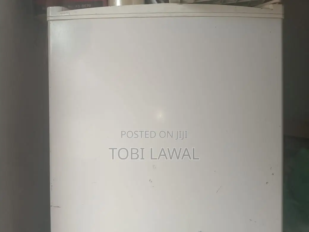 Standing Freezer