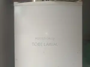 Standing Freezer