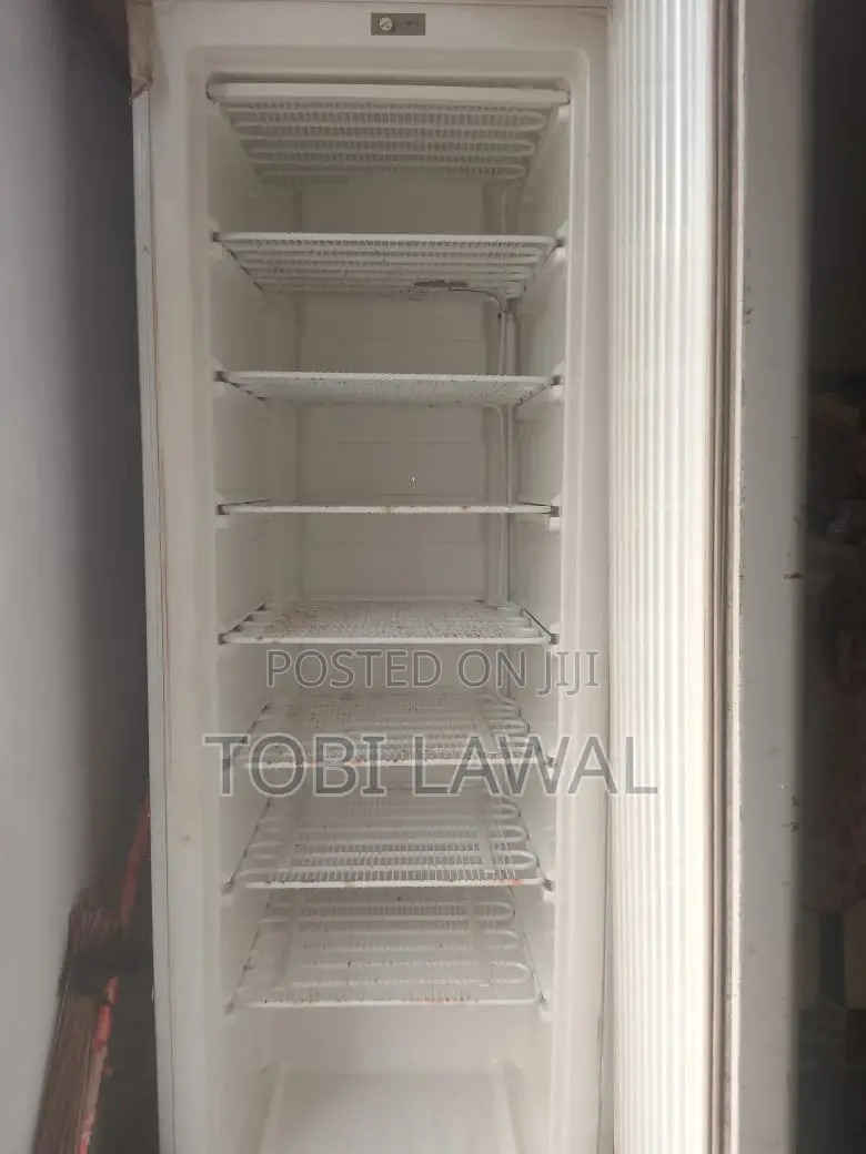 Standing Freezer
