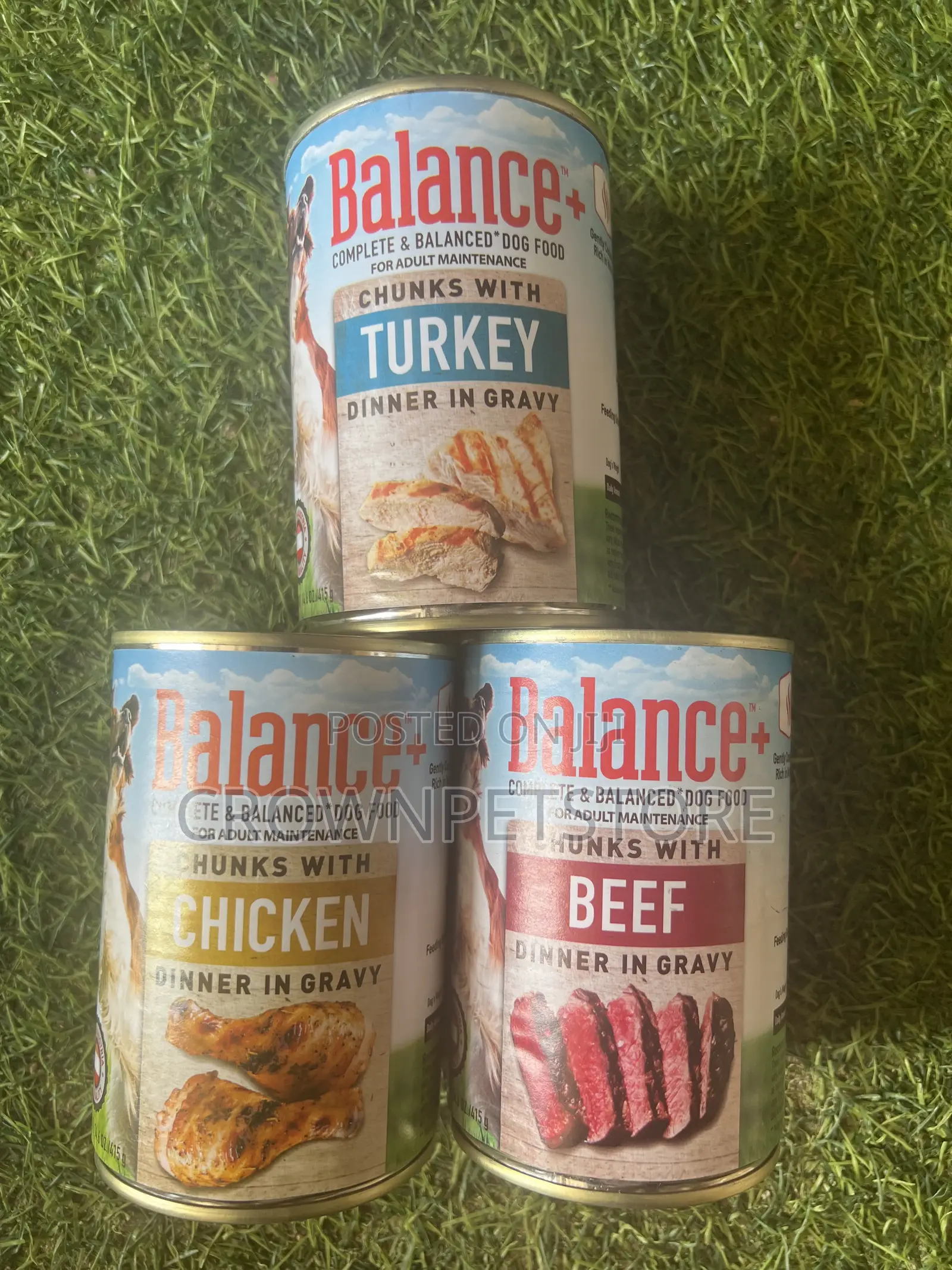 Pet Dry Food