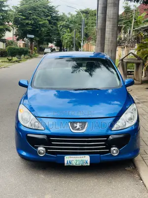 Peugeot 307 2007 Blue