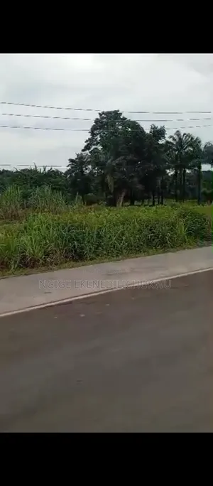 14 Plots of Land for Sale at Ọgwụ Isiagụ Enugu - Port Harcourt Express