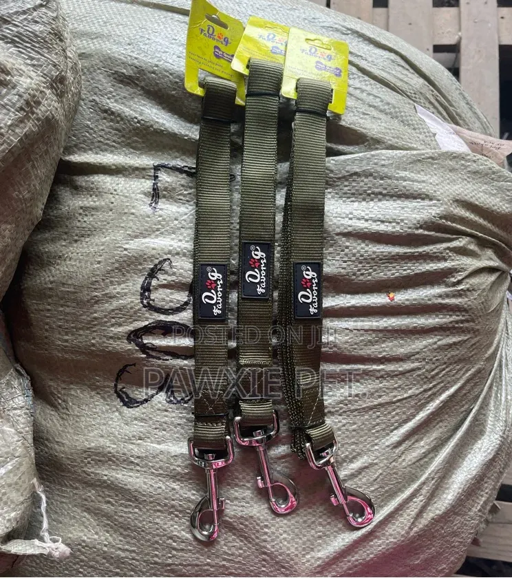 Dog Favour Lead 2.5*120cm
