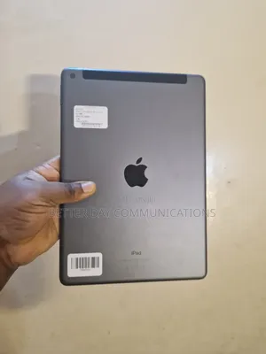Apple iPad 10.2 (2019) 128 GB Gray