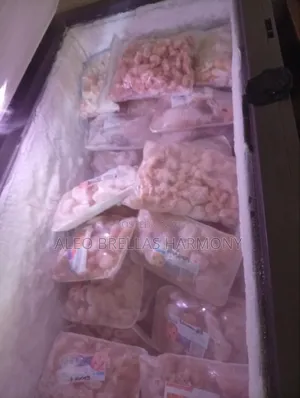 Seal Food Shrimp