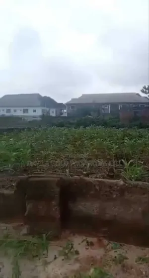Hot Deal! 50×100ft Prime Land at Ogunmwenyi, Banana Road — 