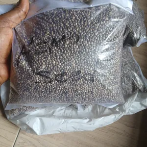 Hempseed 100g/1kg