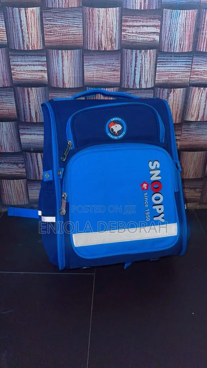 School Bag/Backpack