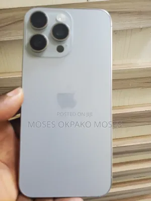 Apple iPhone 15 Pro Max 256 GB Gray