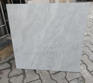 60by60 Tiles Glossy