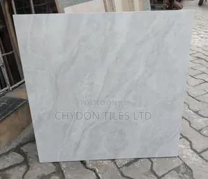 60by60 Tiles Glossy