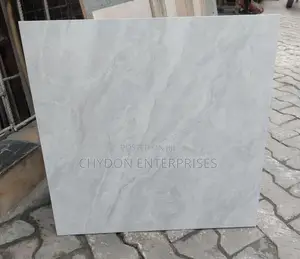 60by60 Tiles Glossy