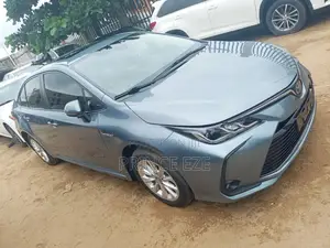 Toyota Corolla 2020 Blue