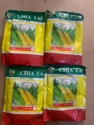 Ayo Sweetcorn