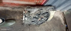 Kia Rio Radiator and Fan 2012