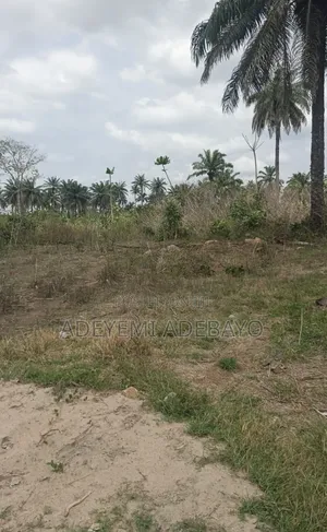 Landed Property