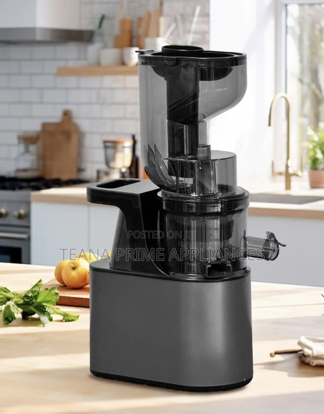 Slow Juicer | Cold Press Juicer | Fruit Vegetable |Powerful Easy Use