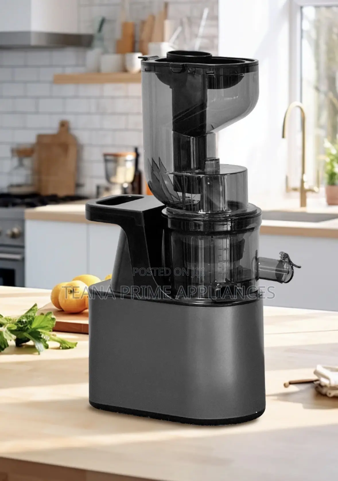 Slow Juicer | Cold Press Juicer | Fruit Vegetable |Powerful Easy Use
