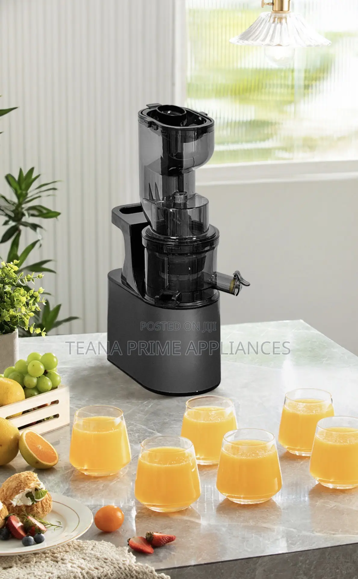 Slow Juicer | Cold Press Juicer | Fruit Vegetable |Powerful Easy Use