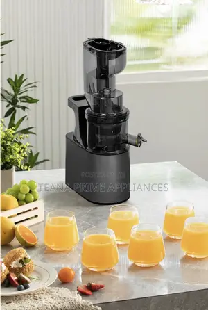 Slow Juicer | Cold Press Juicer | Fruit Vegetable |Powerful Easy Use