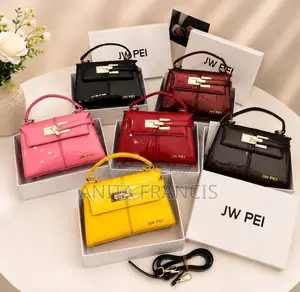 Jw Pei Handbag