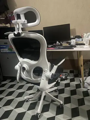 Egronomic Chair With Flip Arm Rest and Lumber Support