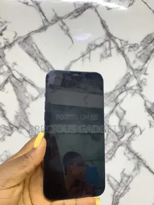 Apple iPhone 12 Pro Max 256 GB Blue
