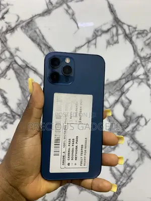Apple iPhone 12 Pro Max 256 GB Blue