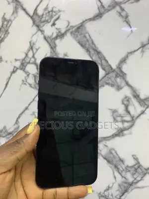 Apple iPhone 12 Pro Max 256 GB Blue