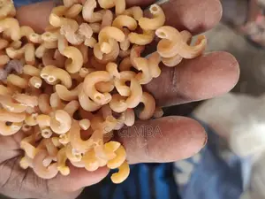 Dog Macaroni and Spaghetti 25kg