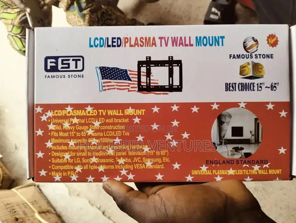 Wall TV Hanger