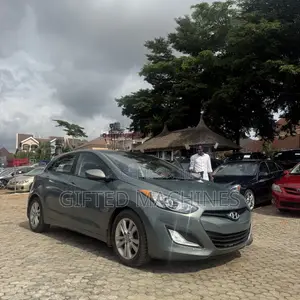 Hyundai Elantra 2013 Gray