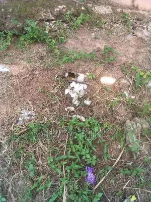 Land for Sale in Benin