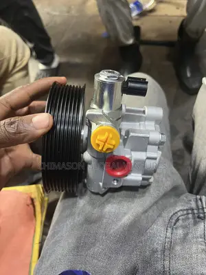 Steering Pump 3ur